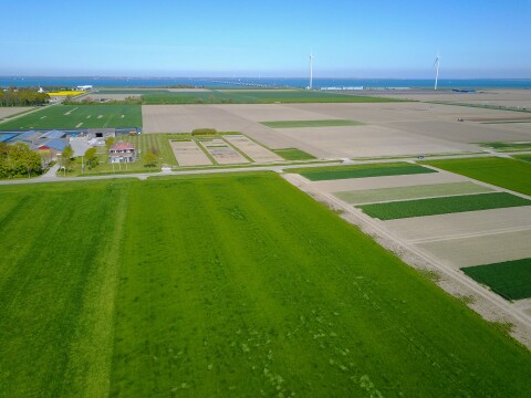 beleggen-in-landbouwgrond-colijnsplaat-rusthoeve