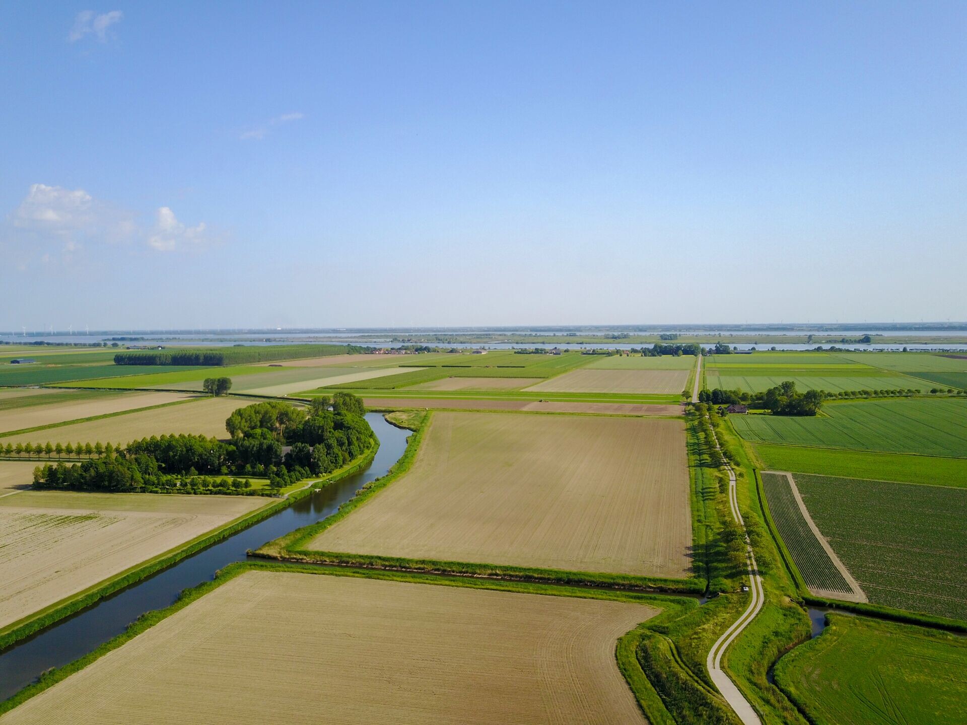 Goudswaard 2